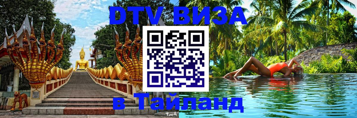 Оформление DTV визы под ключ: стоимость и тарифы, только загранпаспорт - Тула 